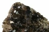Dark Smoky Quartz Crystal Cluster - Brazil #137834-2